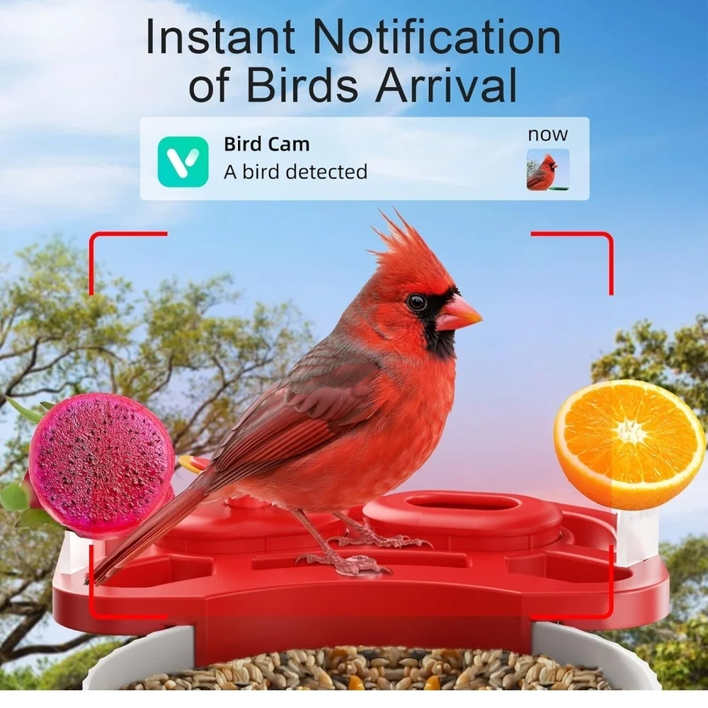 Red and White Bird Feeder with Camera